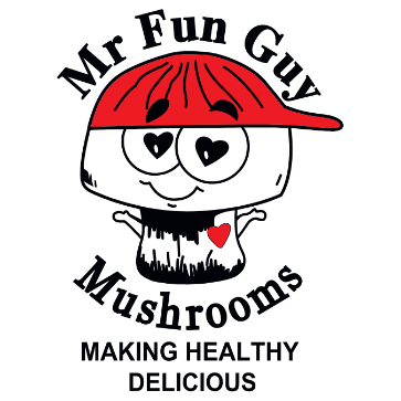 MR FUN GUY LLC