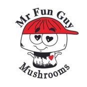 MR FUN GUY LLC